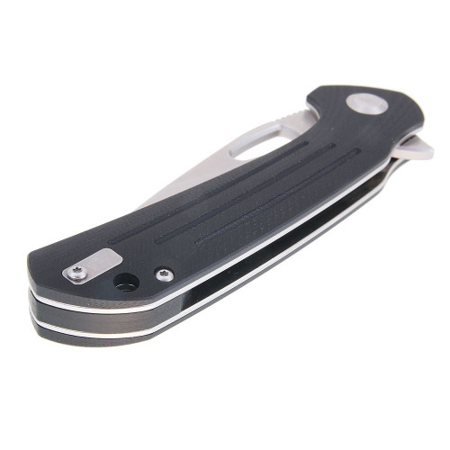 Ganzo FireBird FH921