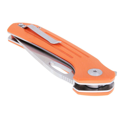 Ganzo FireBird FH921